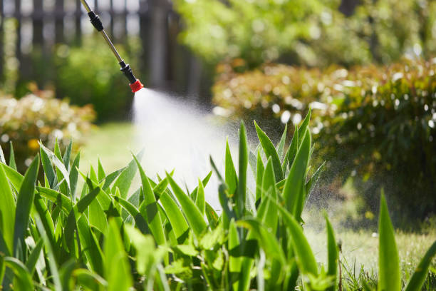 24/7 Emergency Mosquito Control experts in Masury, OH