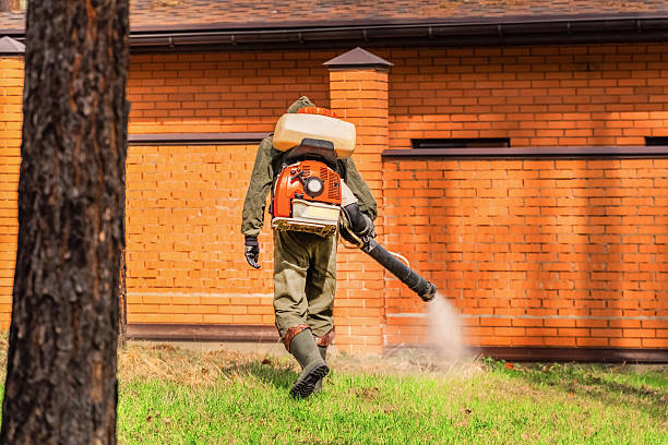 Top rated local Mosquito Control specialists in Masury, OH